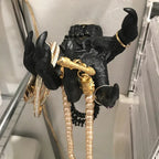 Main de sorcière tenant un collier