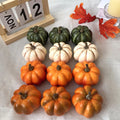 Les Citrouilles de la Récolte