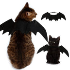 Chat portant les ailes de chauve-souris