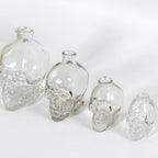 La Carafe du Crâne en verre
