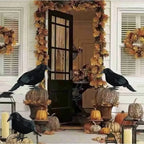 Six corbeaux en plumes noires dans trois postures