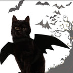 Ailes de chauve-souris portées