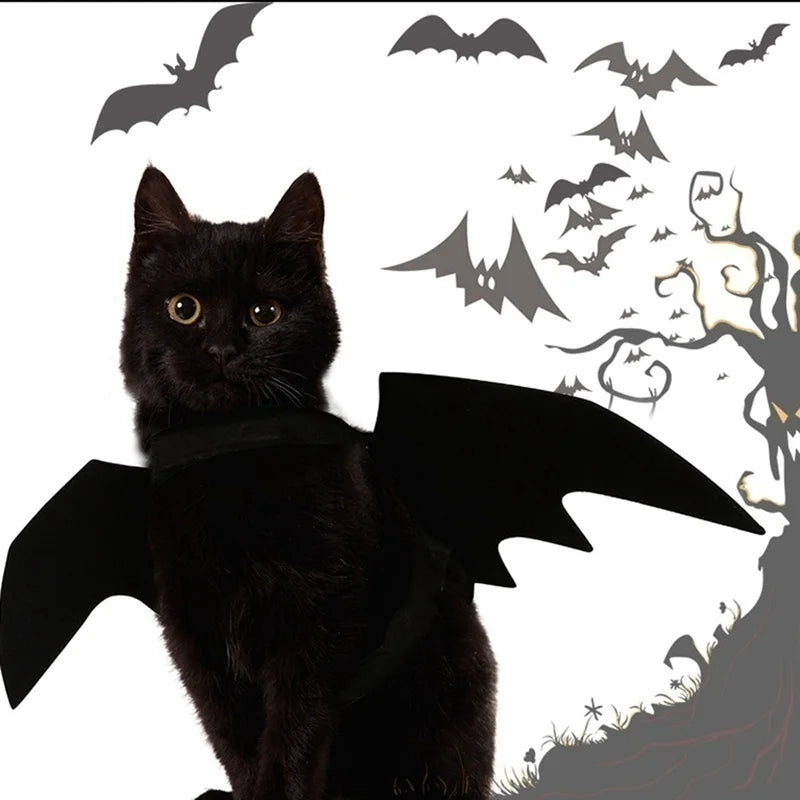 Ailes de chauve-souris portées