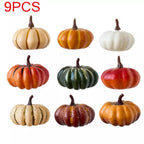 Les 9 citrouilles du lot