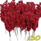 Les Branches de Baies Rouges