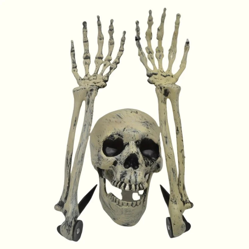 Les Mains du Cimetière avec crâne