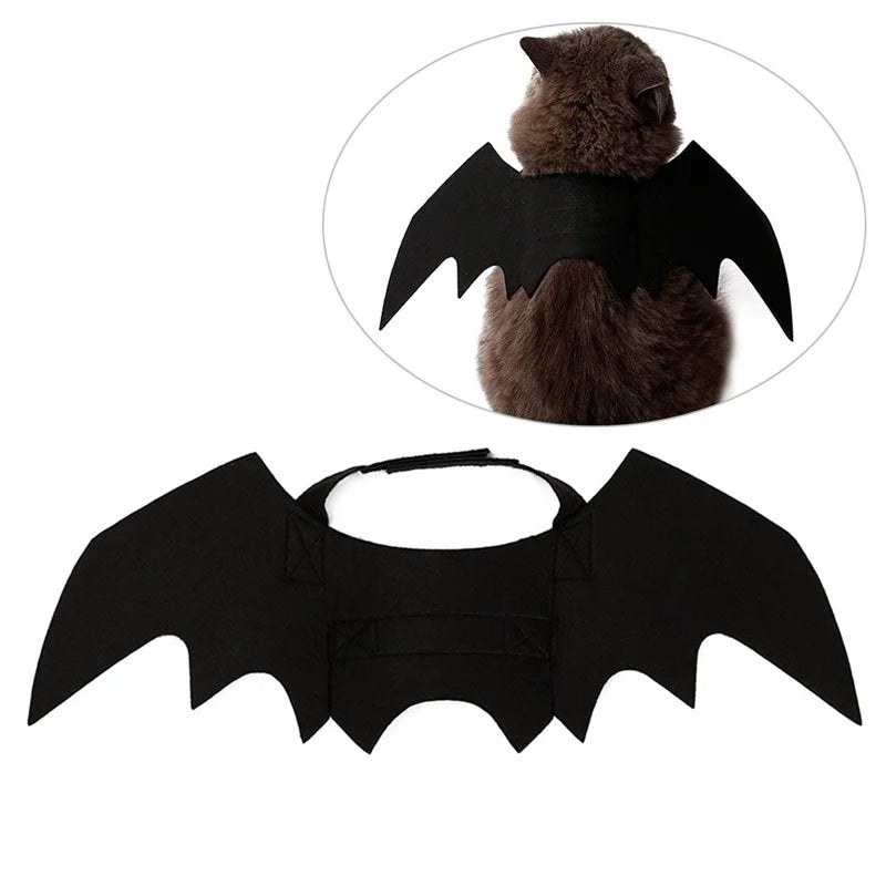 Ailes de chauve-souris pour animal