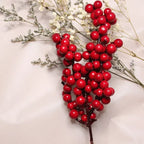Les Branches de Baies Rouges